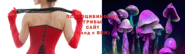 шишки Медвежьегорск