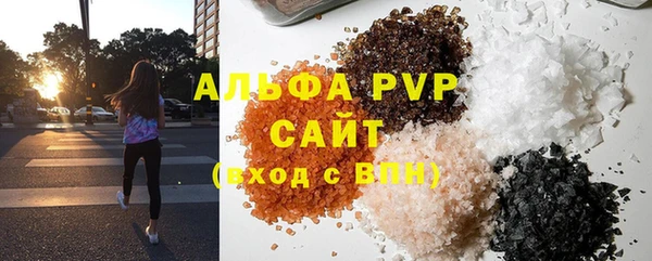шишки Медвежьегорск
