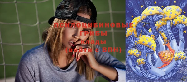 шишки Медвежьегорск