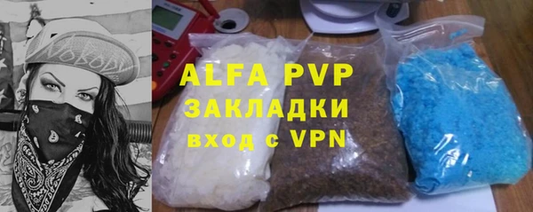 шишки Медвежьегорск