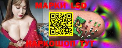 стафф Берёзовский