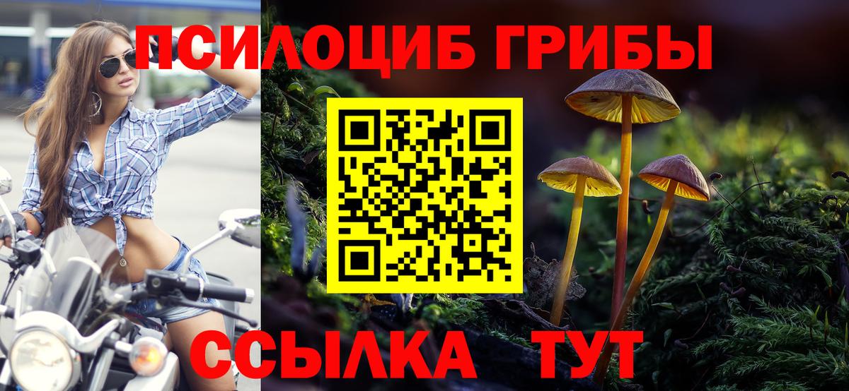 Псилоцибиновые грибы Cubensis Коряжма