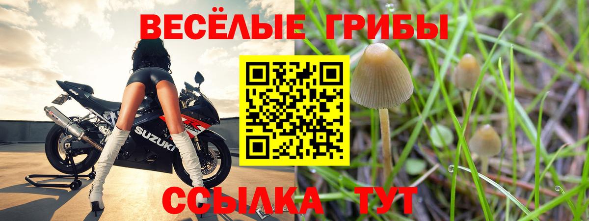 Коряжма  Псилоцибиновые грибы GOLDEN TEACHER  Вход с VPN  наркошоп  Псилоцибиновые грибы Cubensis 